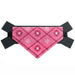 Embroidered Dog Collar with Bandana