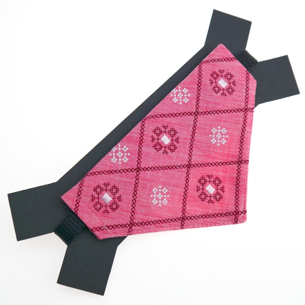 Embroidered Dog Collar with Bandana
