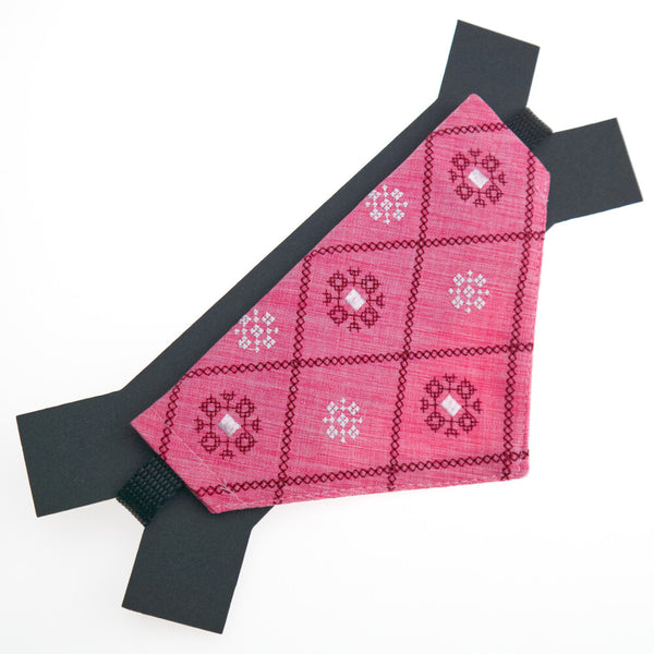 Embroidered Dog Collar with Bandana