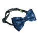 Dog Collar with Bowtie