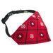 Embroidered Dog Collar with Bandana