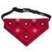 Embroidered Dog Collar with Bandana