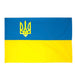 Large Ukrainian Flag with Tryzub- Gabardine